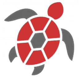 turtle-2